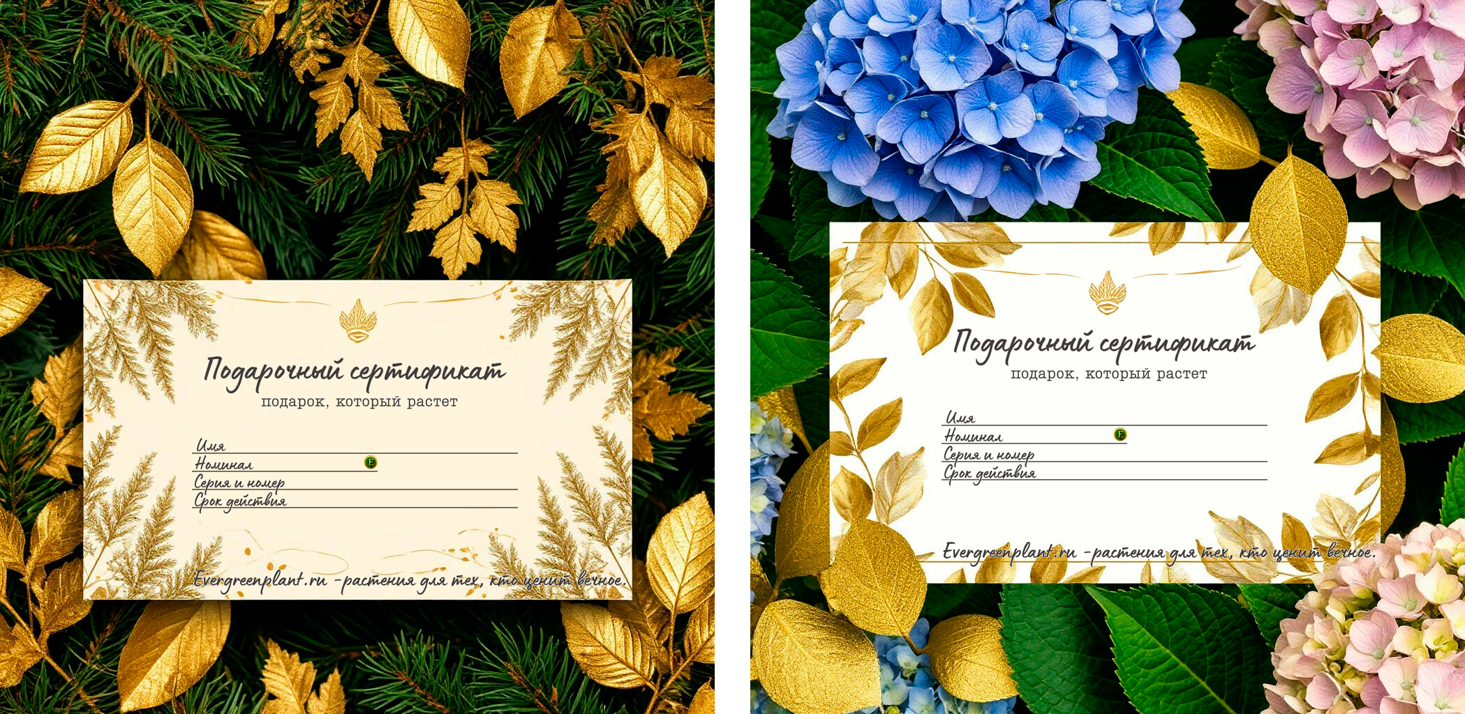 Сертификат Золотой Ecoin